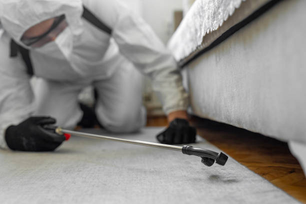 Professional Bed Bug Control technician working in McClain County County, OK
